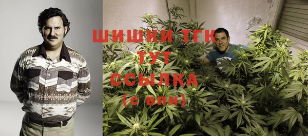 эйфоретик Аркадак