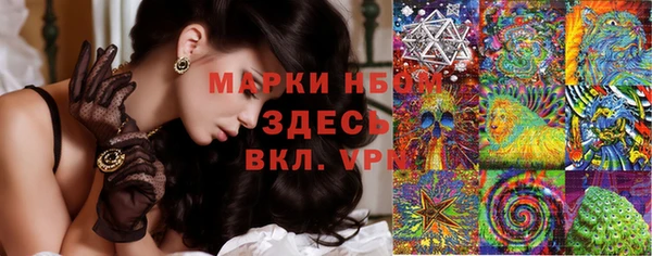 эйфоретик Аркадак