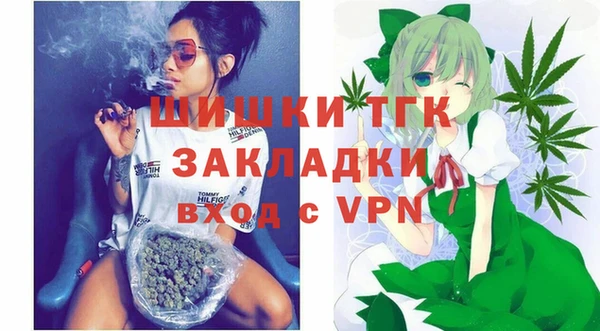 ECSTASY Пересвет
