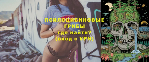 гашик Арсеньев