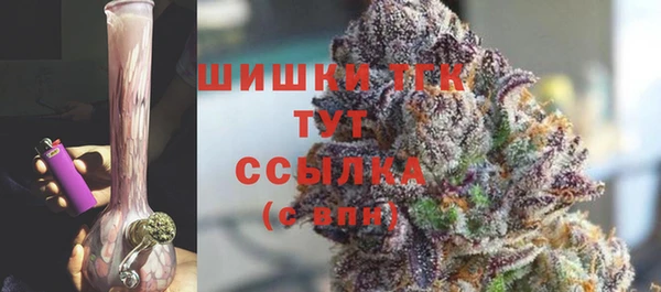 гашик Арсеньев
